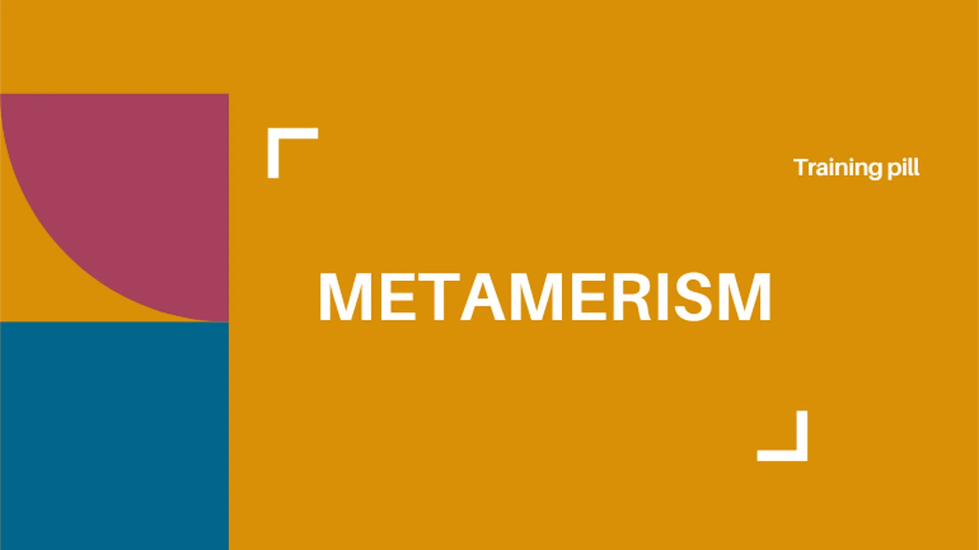 METAMERISM